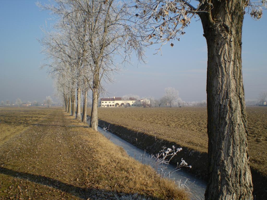 Il Rifugio Del Poeta Pensionat San Biagio di Callalta Exteriör bild